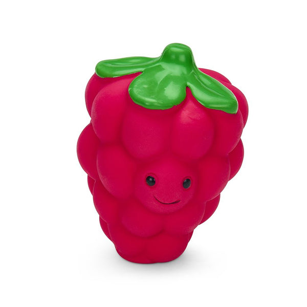 Petface Foodie Faces Latex Raspberry Dog Toy - Small