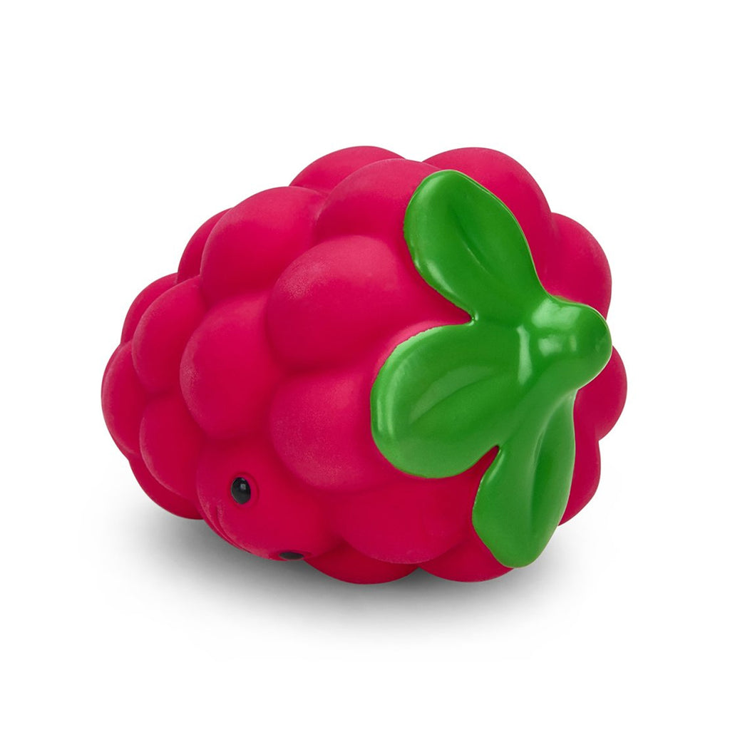 Petface Foodie Faces Latex Raspberry Dog Toy - Small