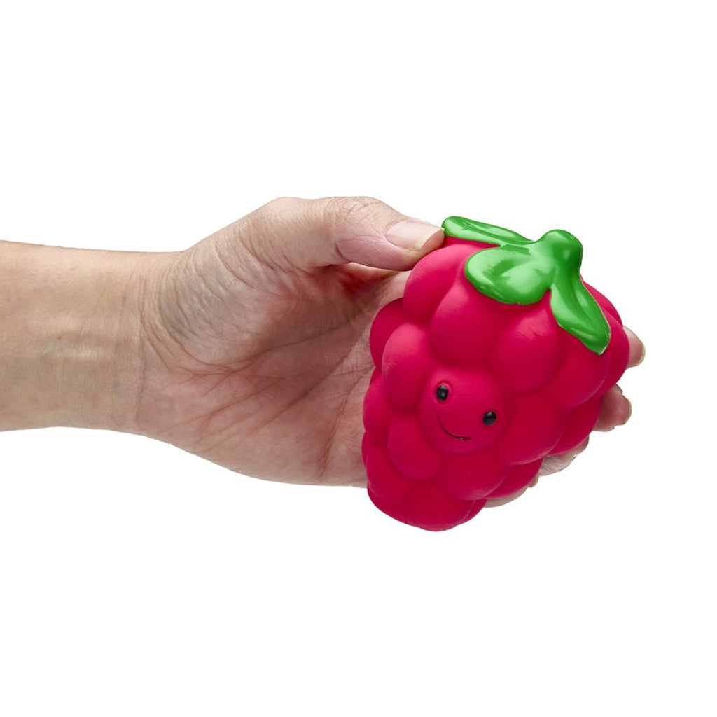 Petface Foodie Faces Latex Raspberry Dog Toy - Small