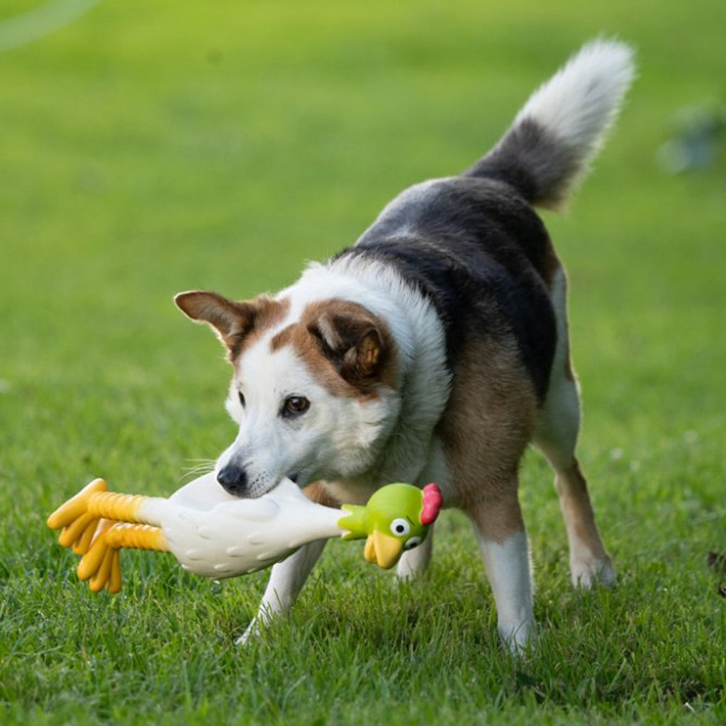 Petface Standing Chicken Dog Toy