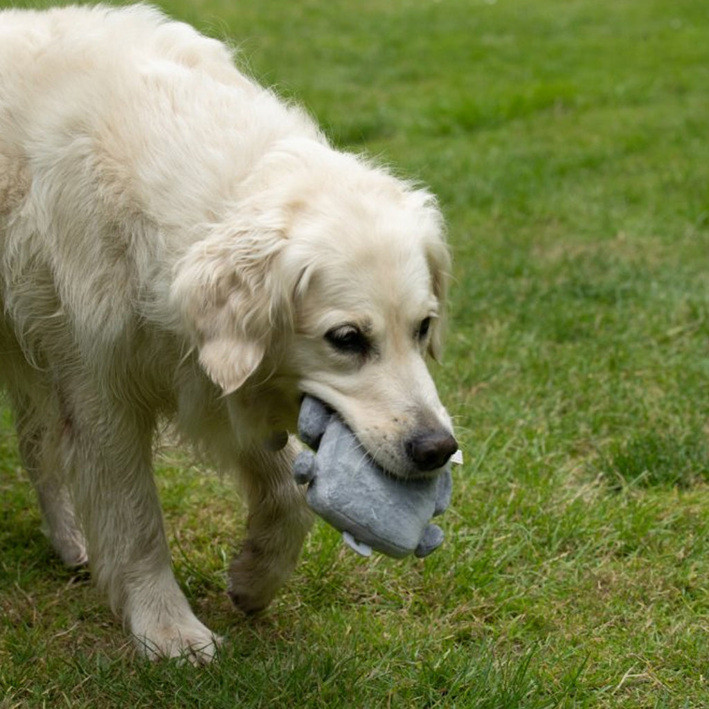 Petface Seriously Strong Rubberoid Robot Dog Toy