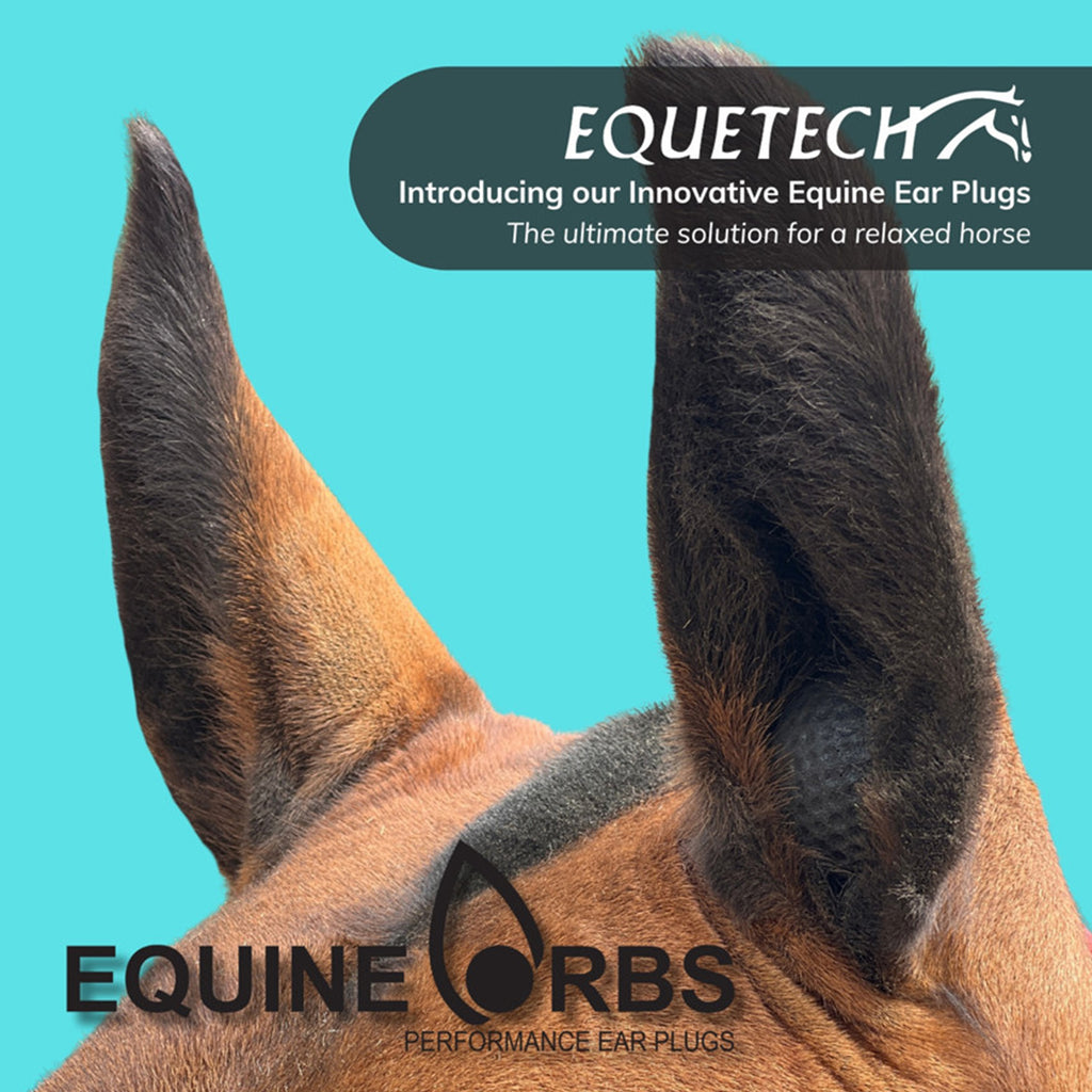 Equine Orbs Performance Ear Plugs - Black