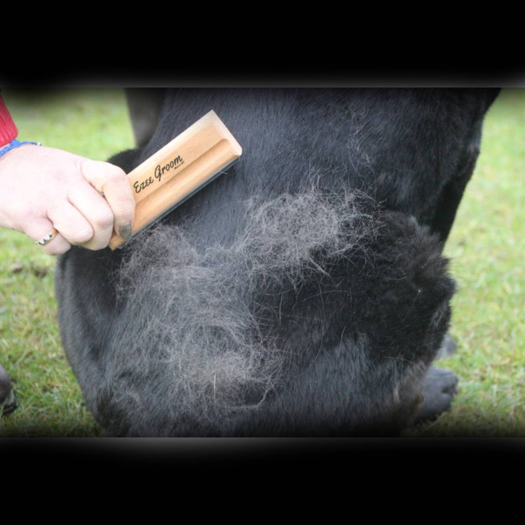 Ezee Groom