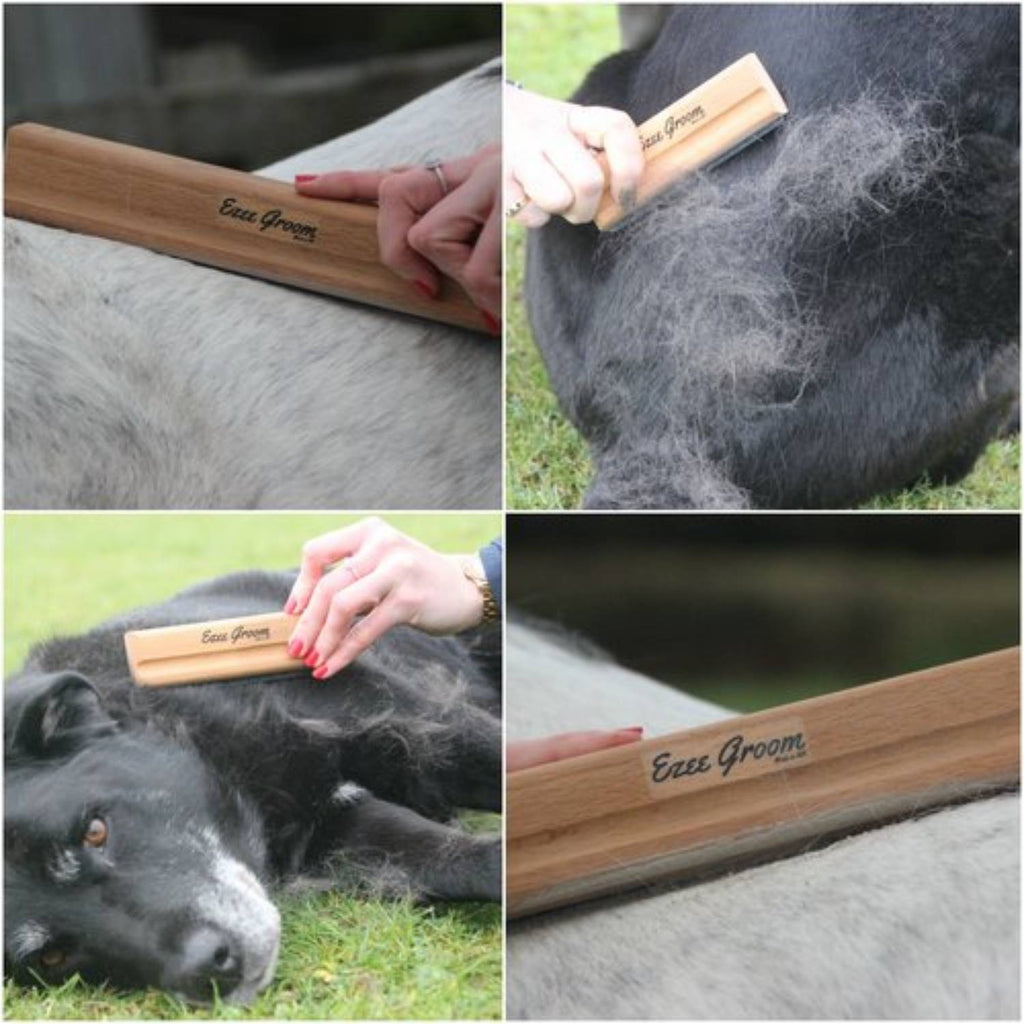 Ezee Groom