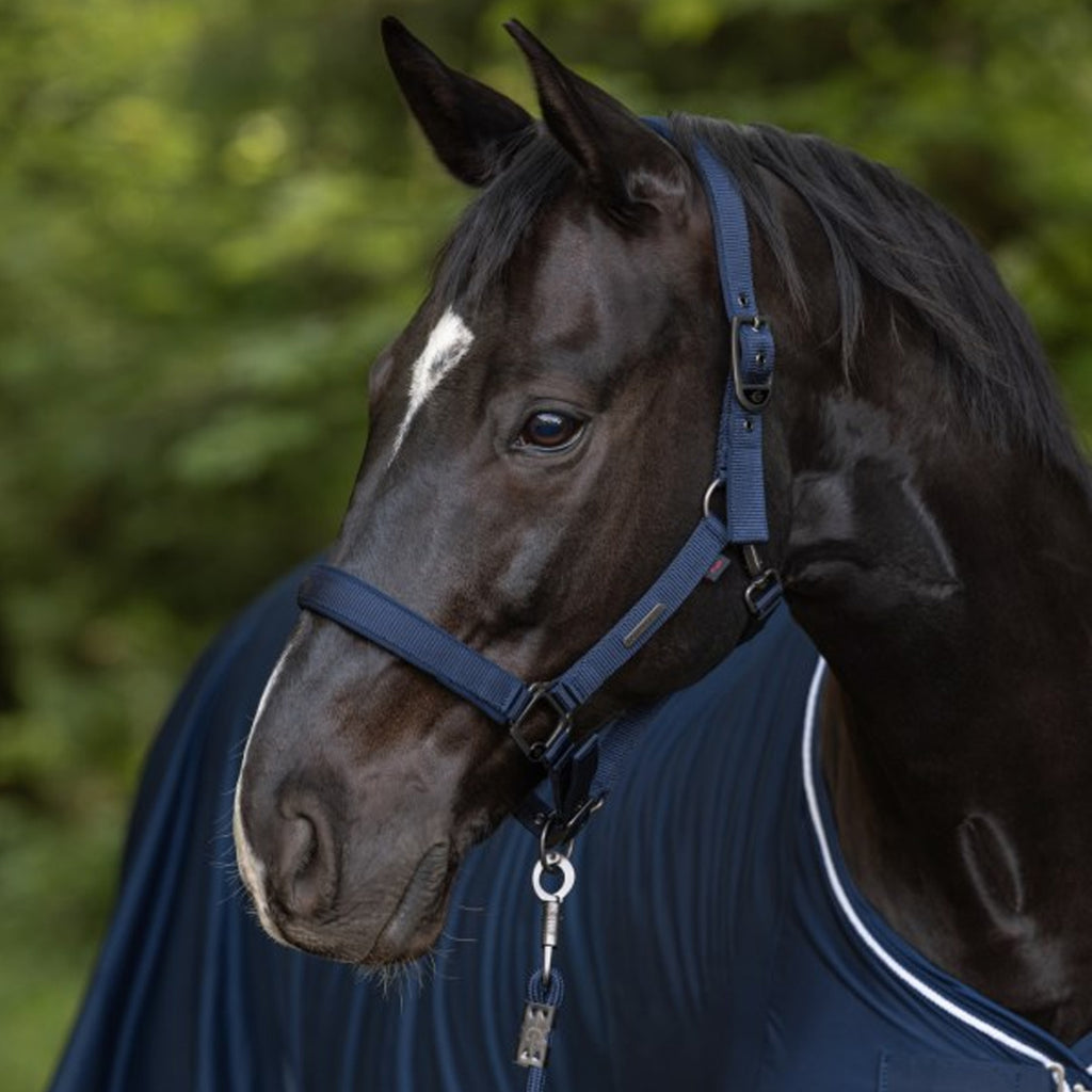 Covalliero Headcollar - Dark Navy