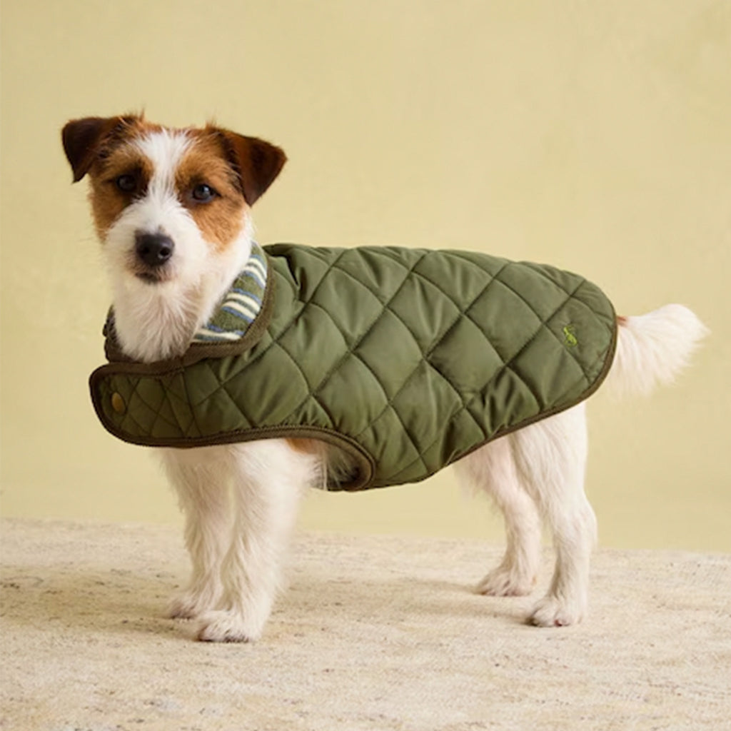 Joules Khaki Quilted Dog Coat