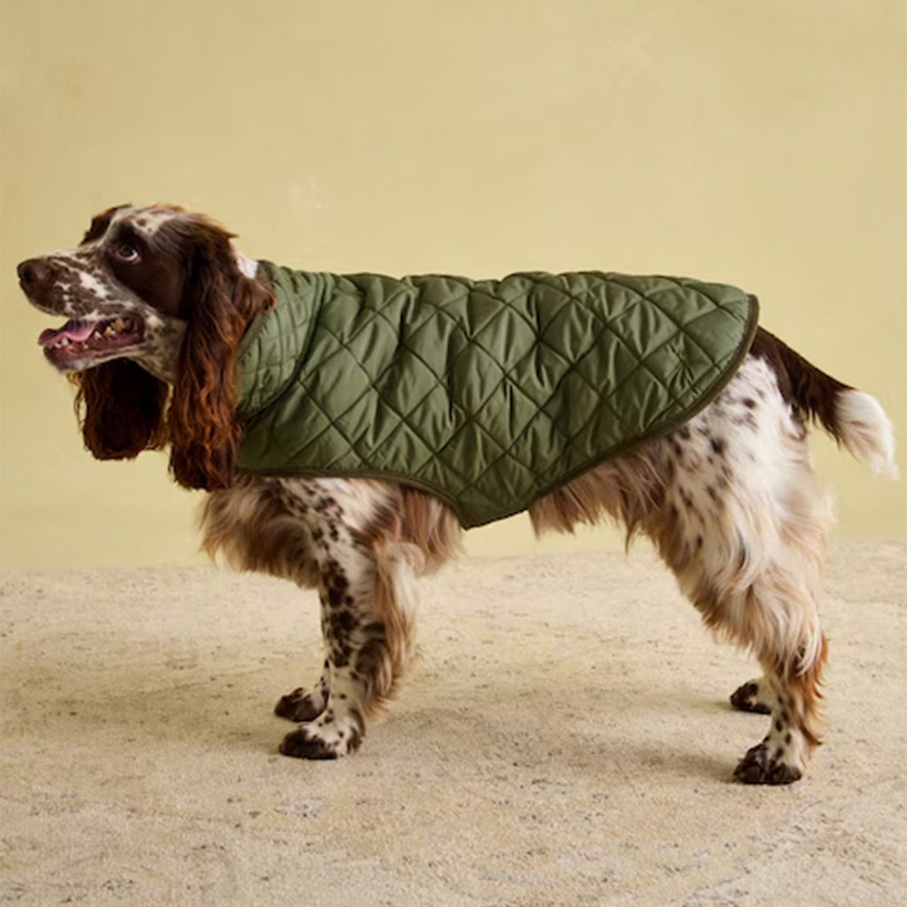 Joules Khaki Quilted Dog Coat