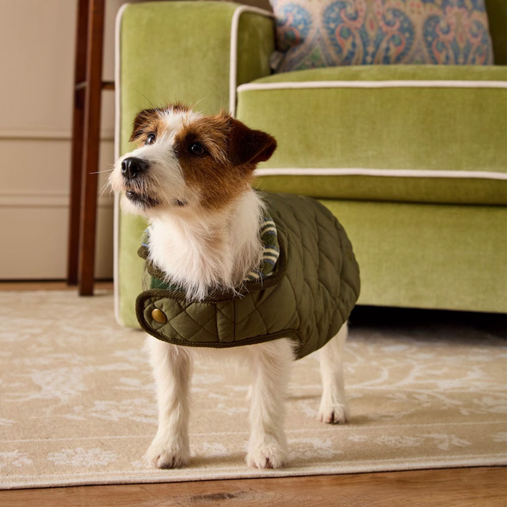 Joules Khaki Quilted Dog Coat