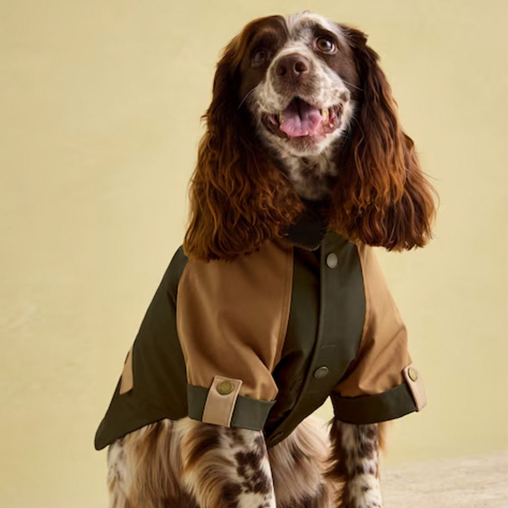 Joules Kennington Dog Coat - Khaki/Brown