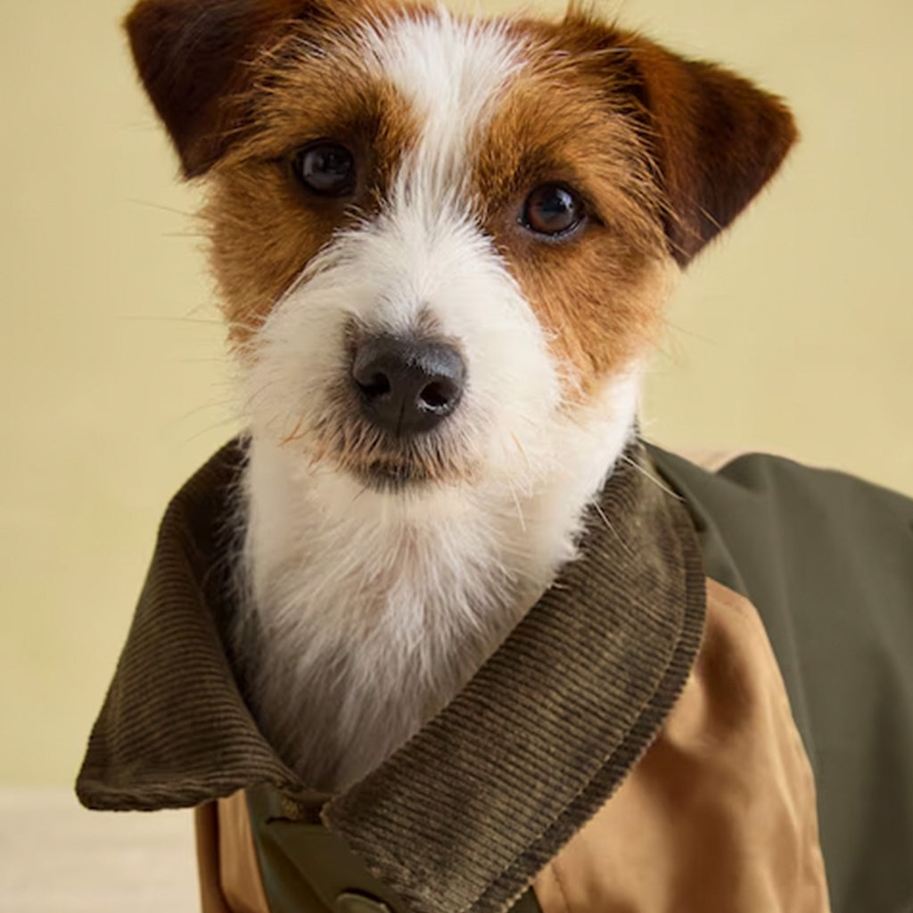 Joules Kennington Dog Coat - Khaki/Brown