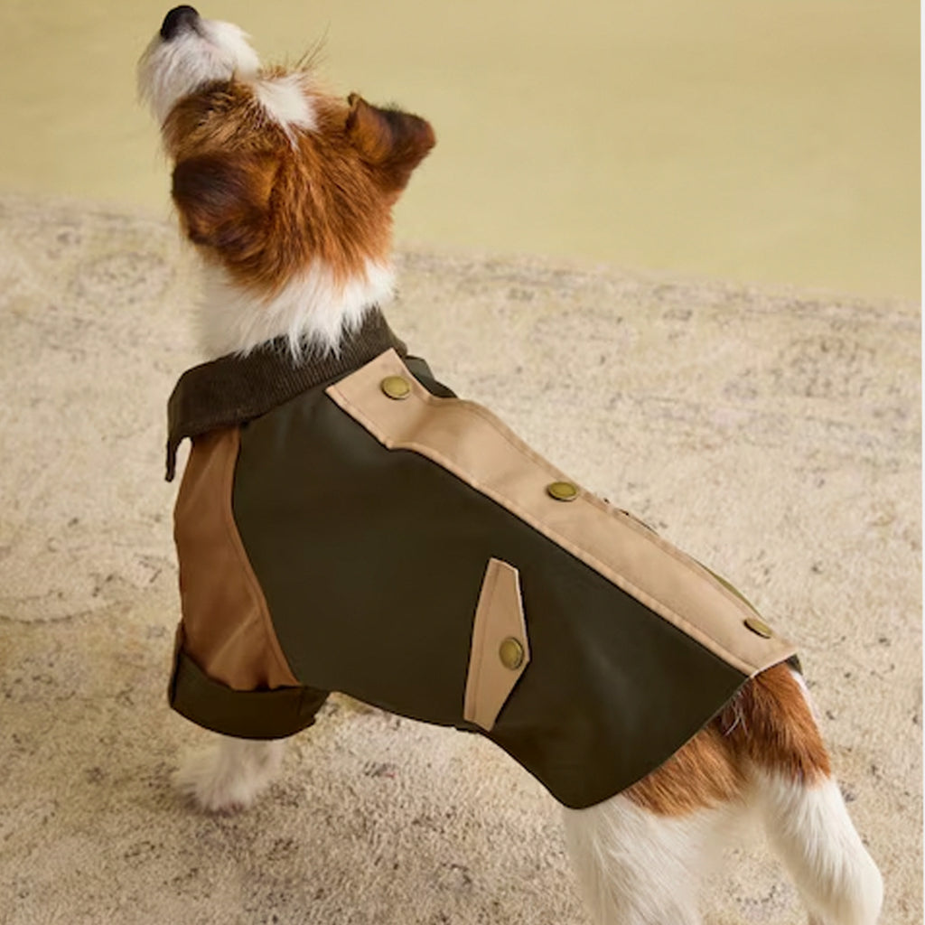 Joules Kennington Dog Coat - Khaki/Brown