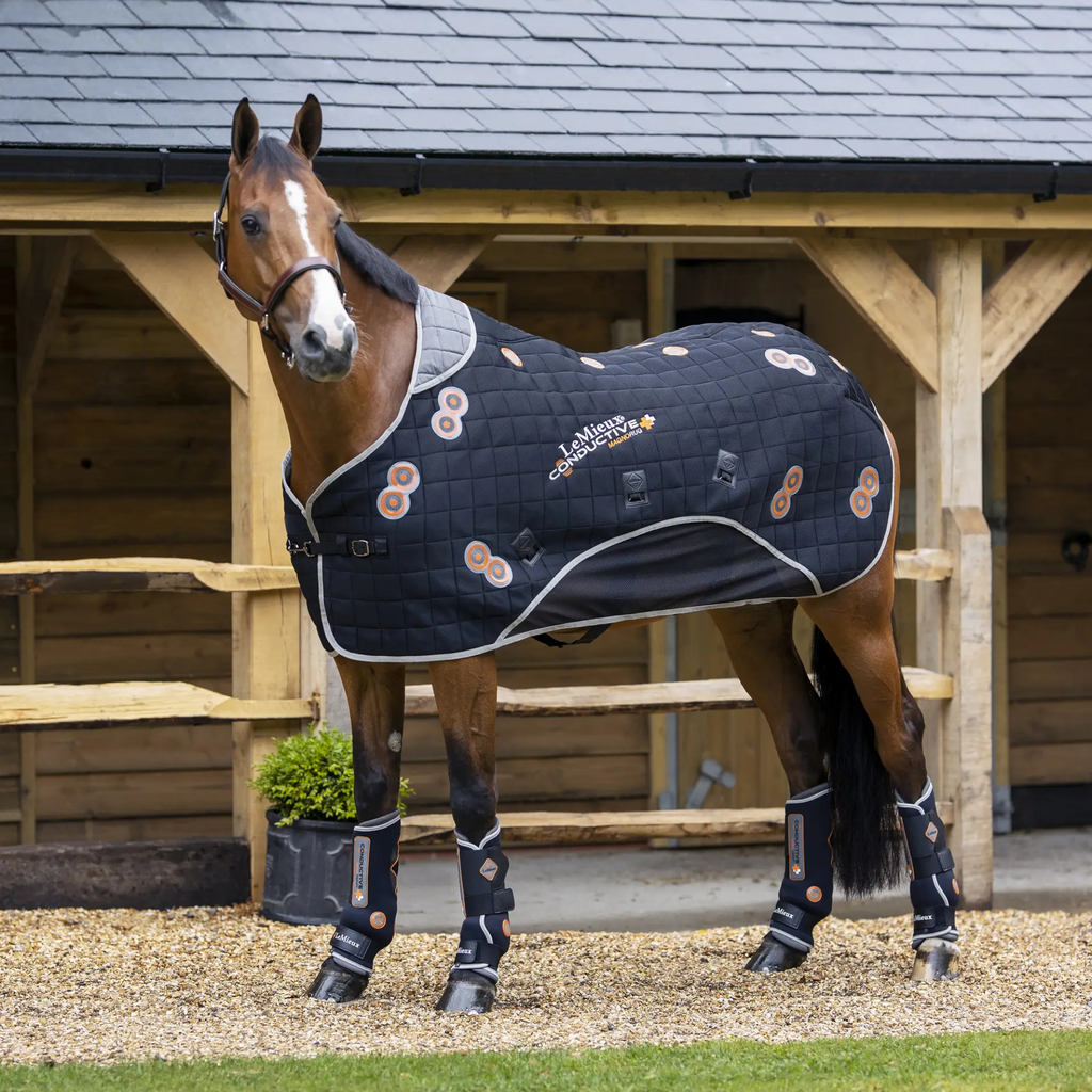 LeMieux Conductive Magnotherapy Rug