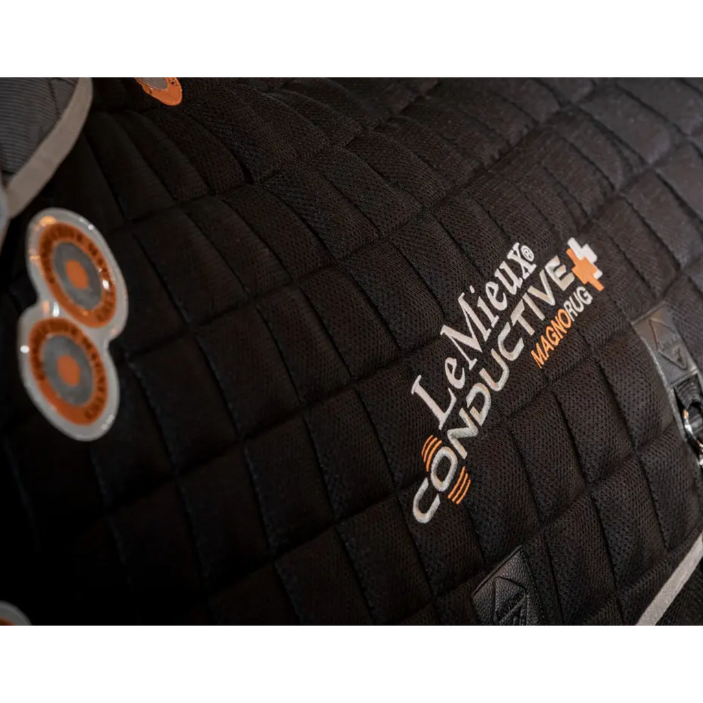 LeMieux Conductive Magnotherapy Rug
