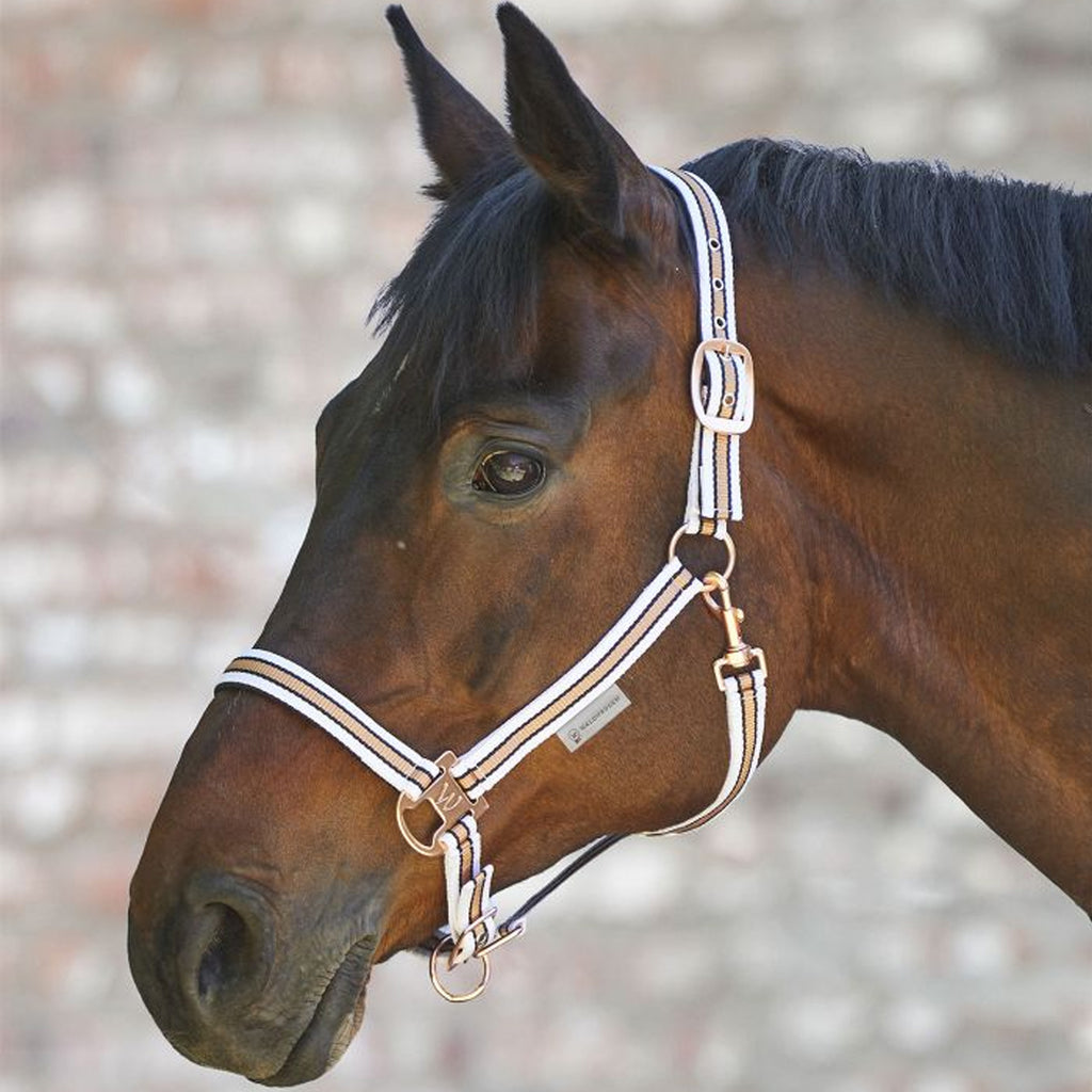 Waldhausen Shine Headcollar - Black/Rose