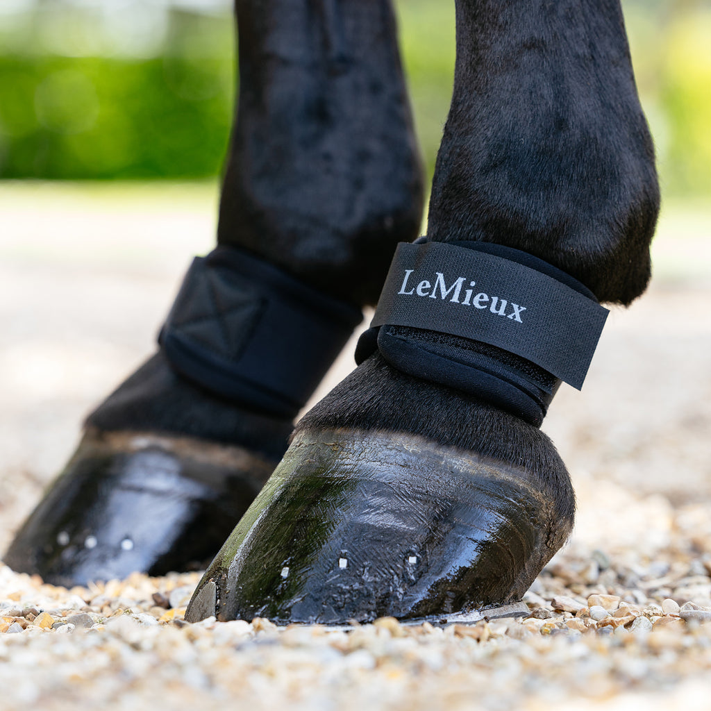 LeMieux Neoprene Pastern Wraps - Black