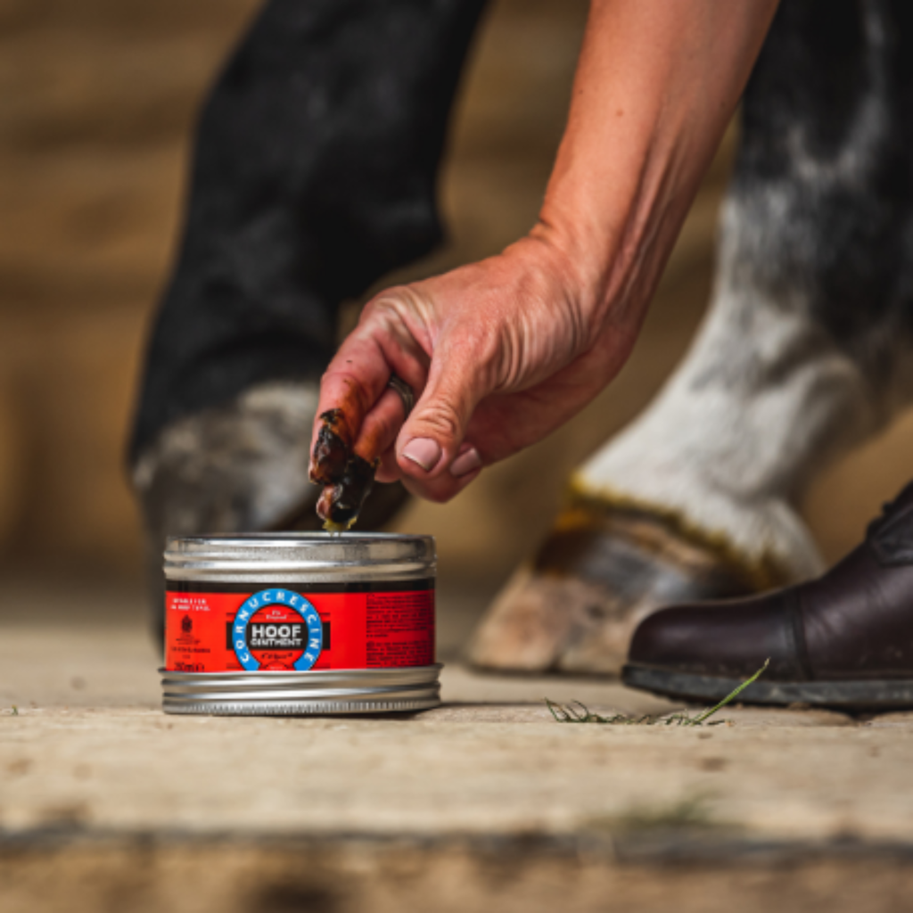 Carr Day Martin Cornucrescine Hoof Ointment - 250ml