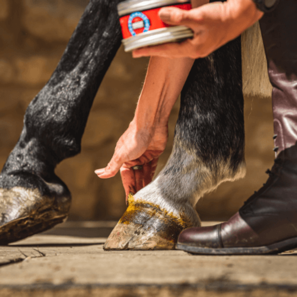 Carr Day Martin Cornucrescine Hoof Ointment - 250ml
