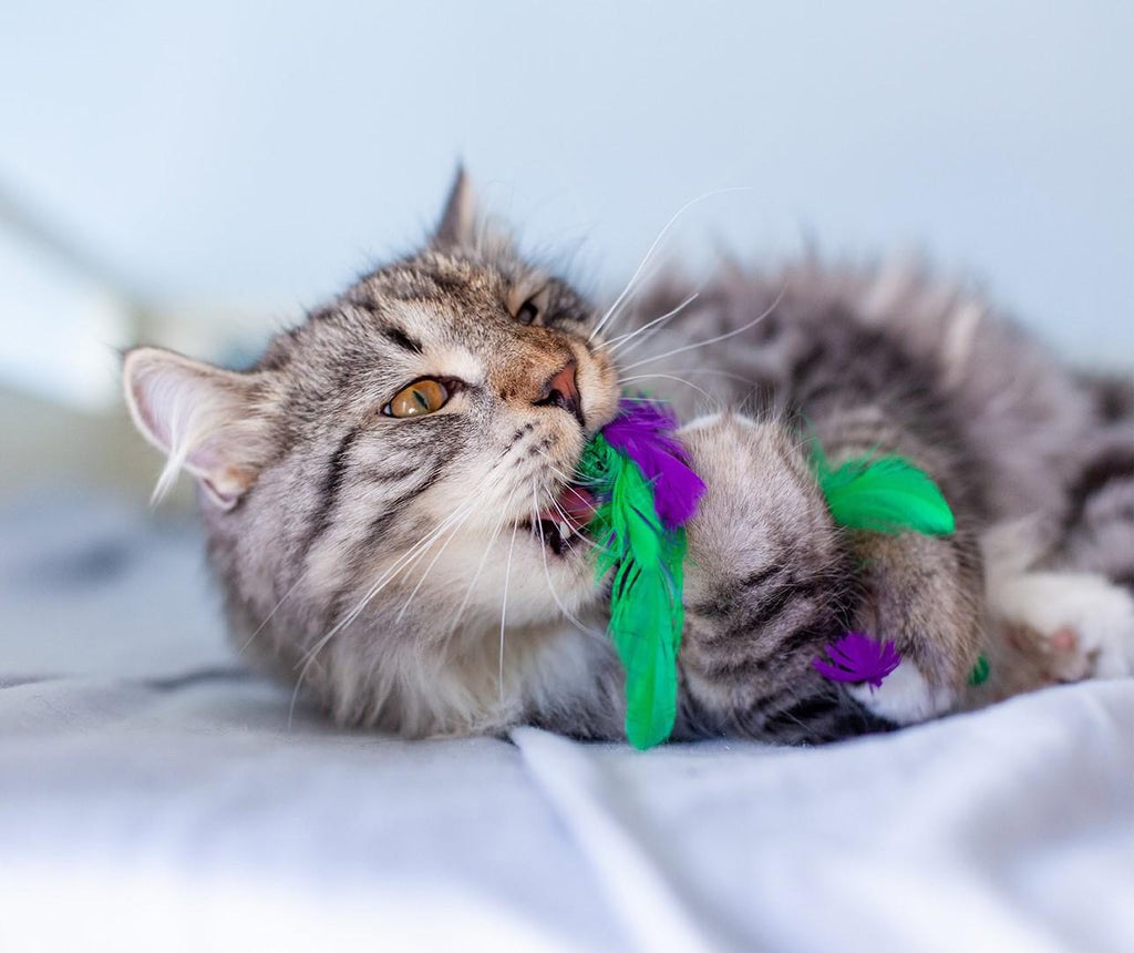 Rosewood Krazy Kale Cat Toy