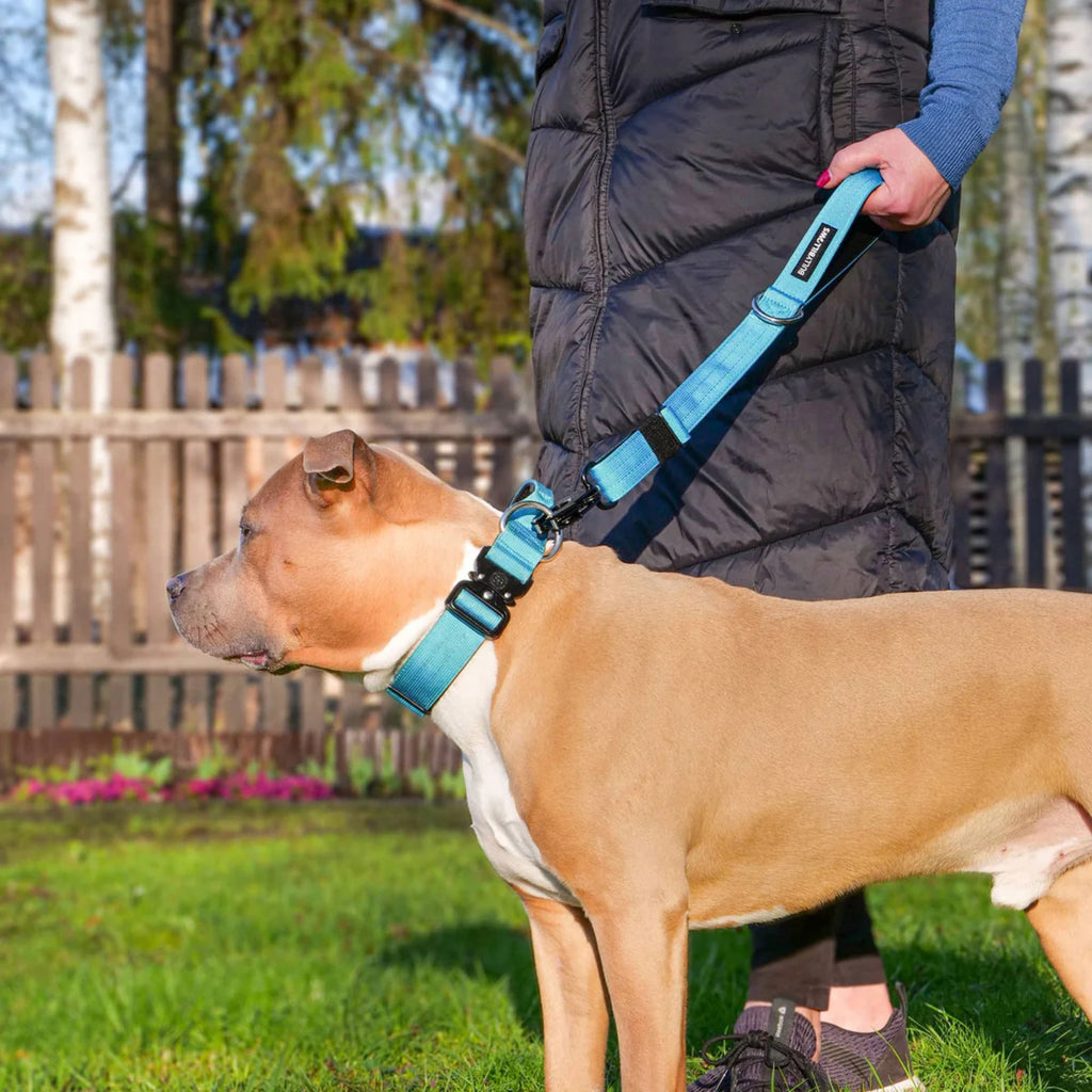 BullyBillows Adjustable Combat Traffic Lead - Black