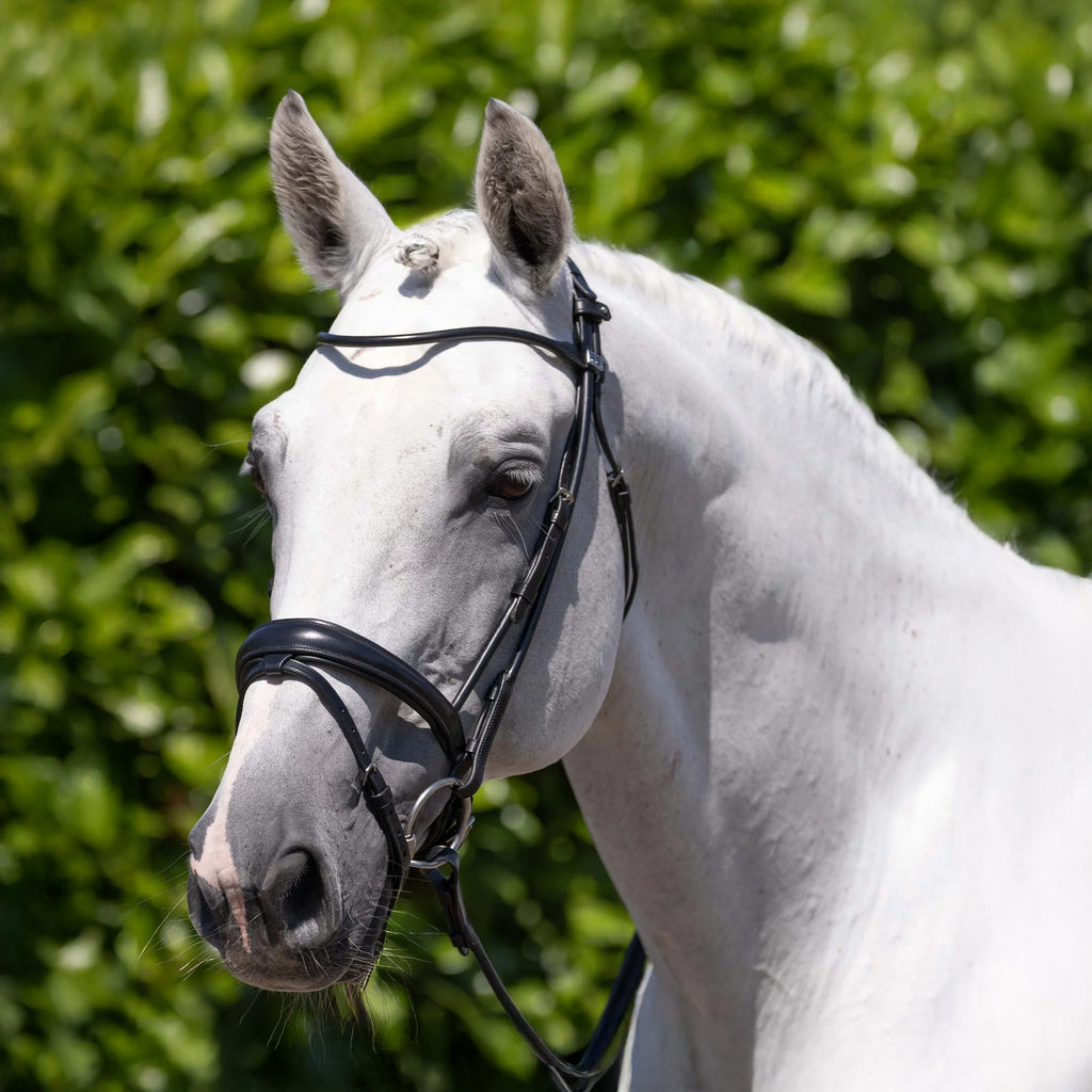 Premier Equine Finetti Rolled Leather Snaffle Bridle - Black