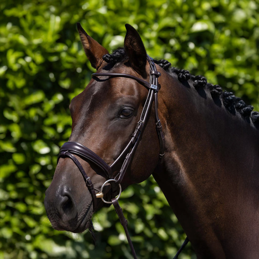 Premier Equine Finetti Rolled Leather Snaffle Bridle - Brown