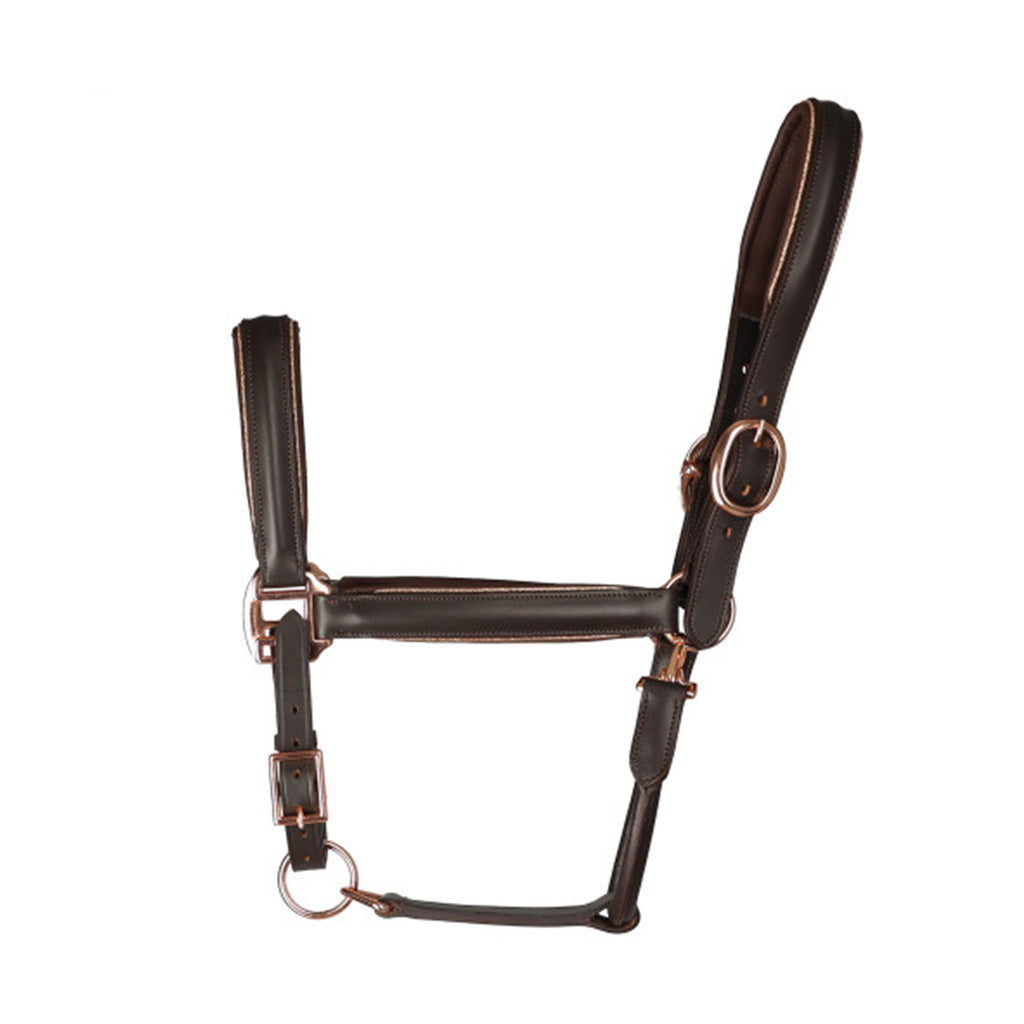 Hy Equestrian Chromatic Leather Head Collar - Brown