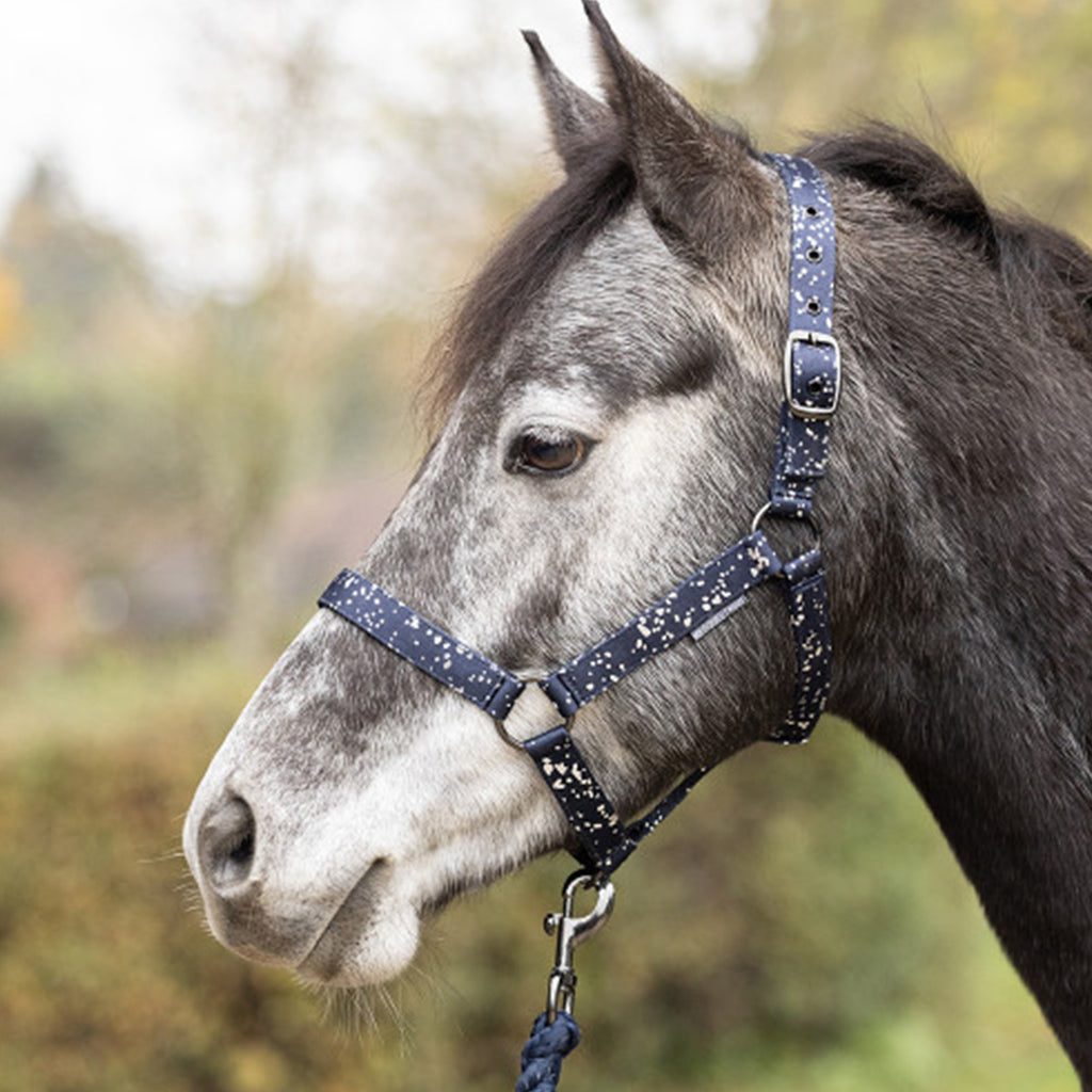 Hy Equestrian Elevate Allure Head Collar And Lead Rope - Navy
