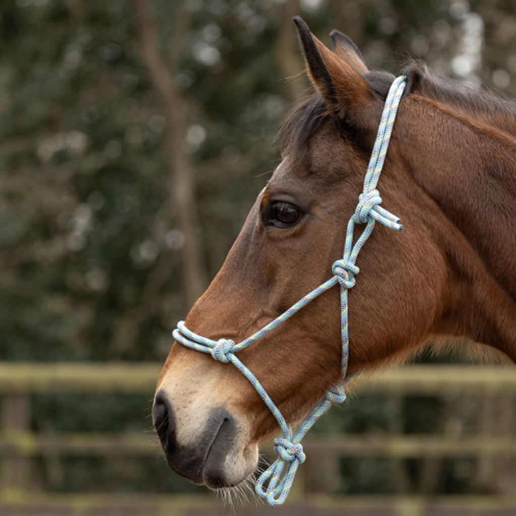 Hy Equestrian Rope Halter - Bright Blue