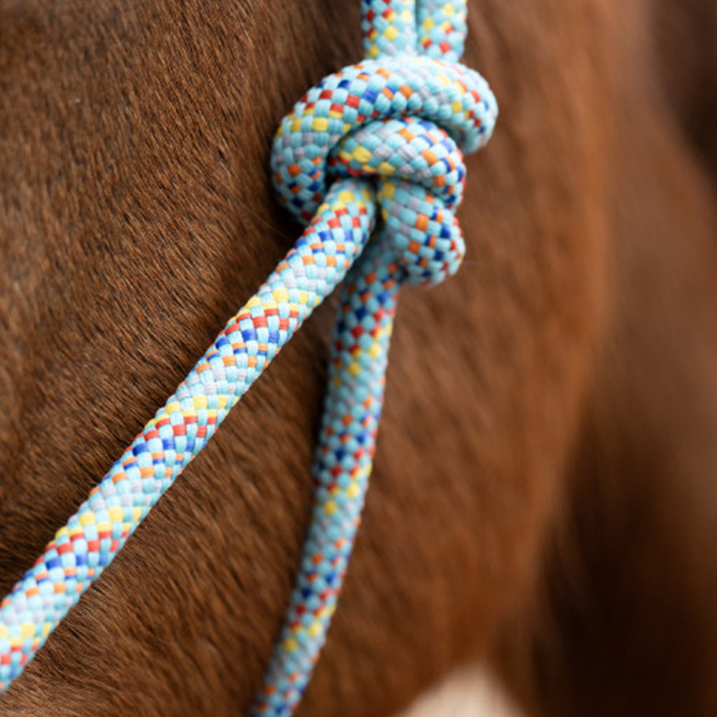 Hy Equestrian Rope Halter - Bright Blue