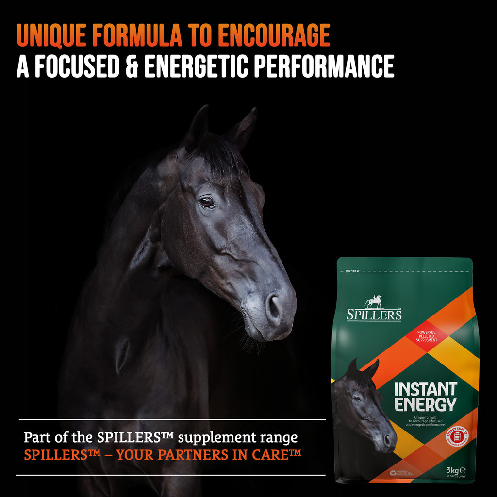 Spillers Instant Energy - 3kg