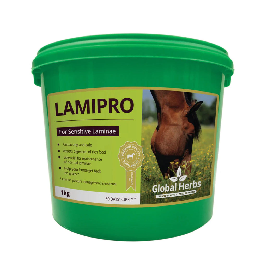Global Herbs LamiPro Powder - 1kg