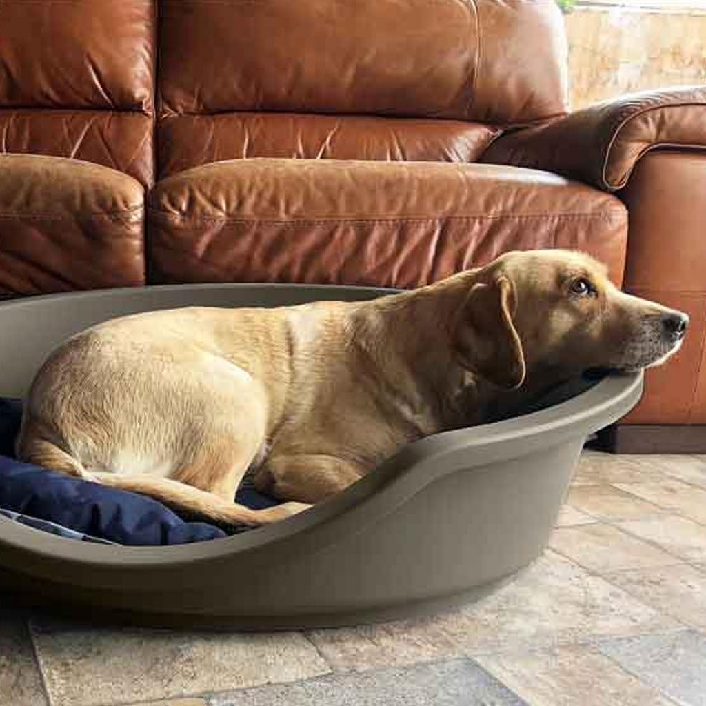 Eco Line Plastic Pet Bed - Mushroom Grey