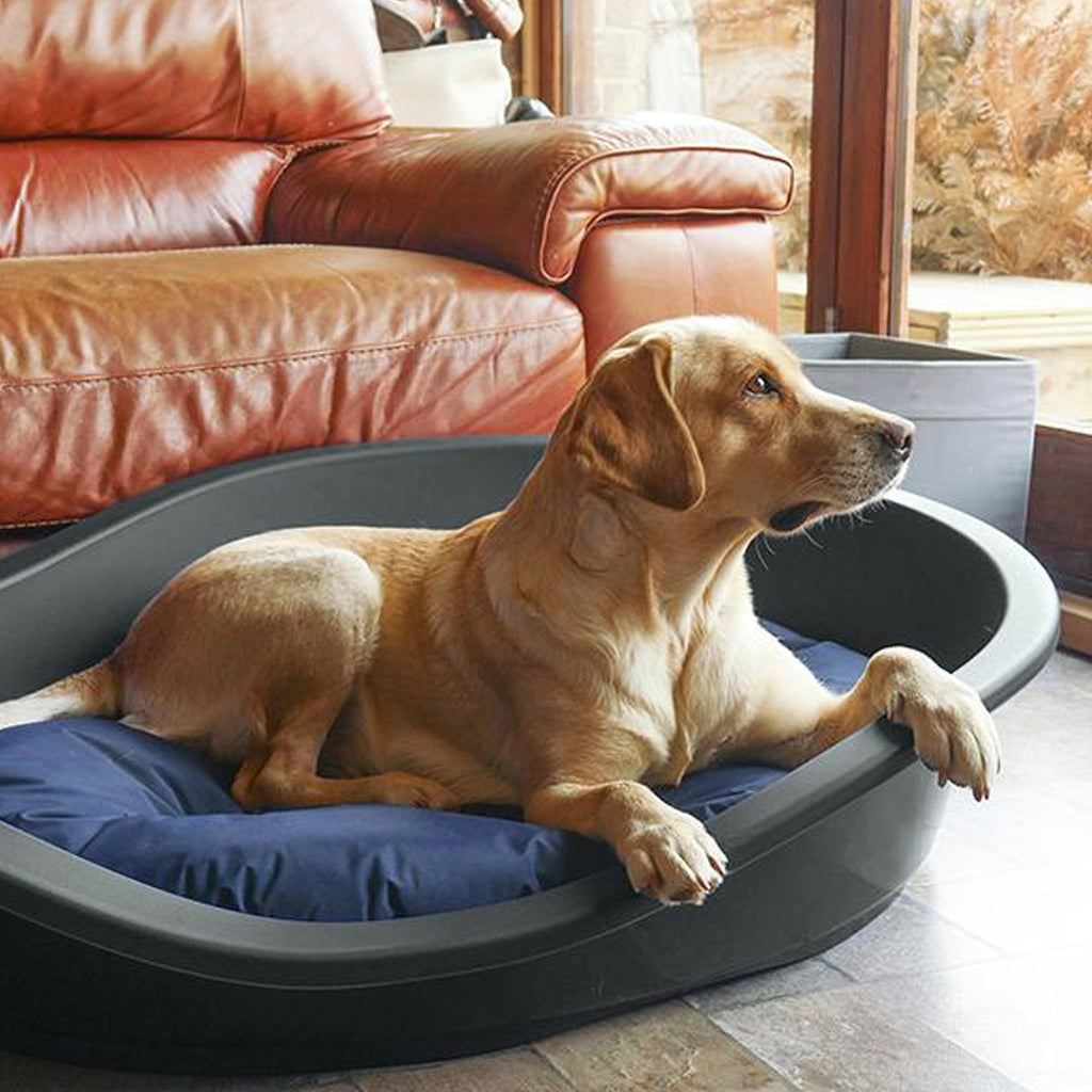Eco Line Plastic Pet Bed - Graphite Grey