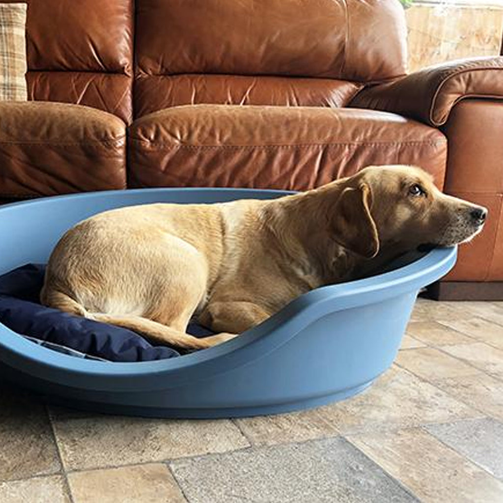 Eco Line Plastic Pet Bed - Ice Blue