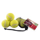 Squeaky Tennis Balls - 3 Pack