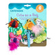 Cute as a Bug Cat Toys - 6 Pack