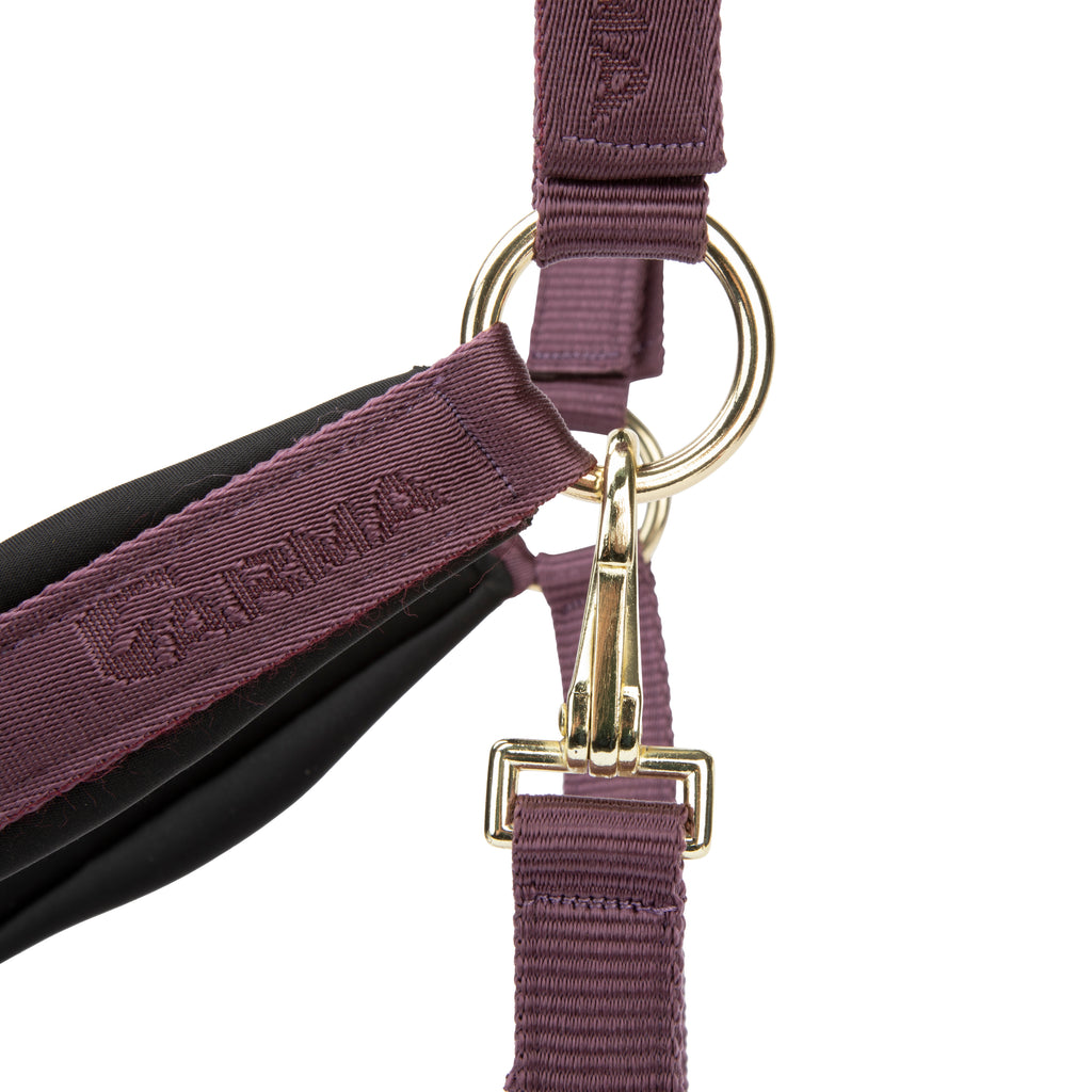 ARMA Padded Headcollar - Black Cherry