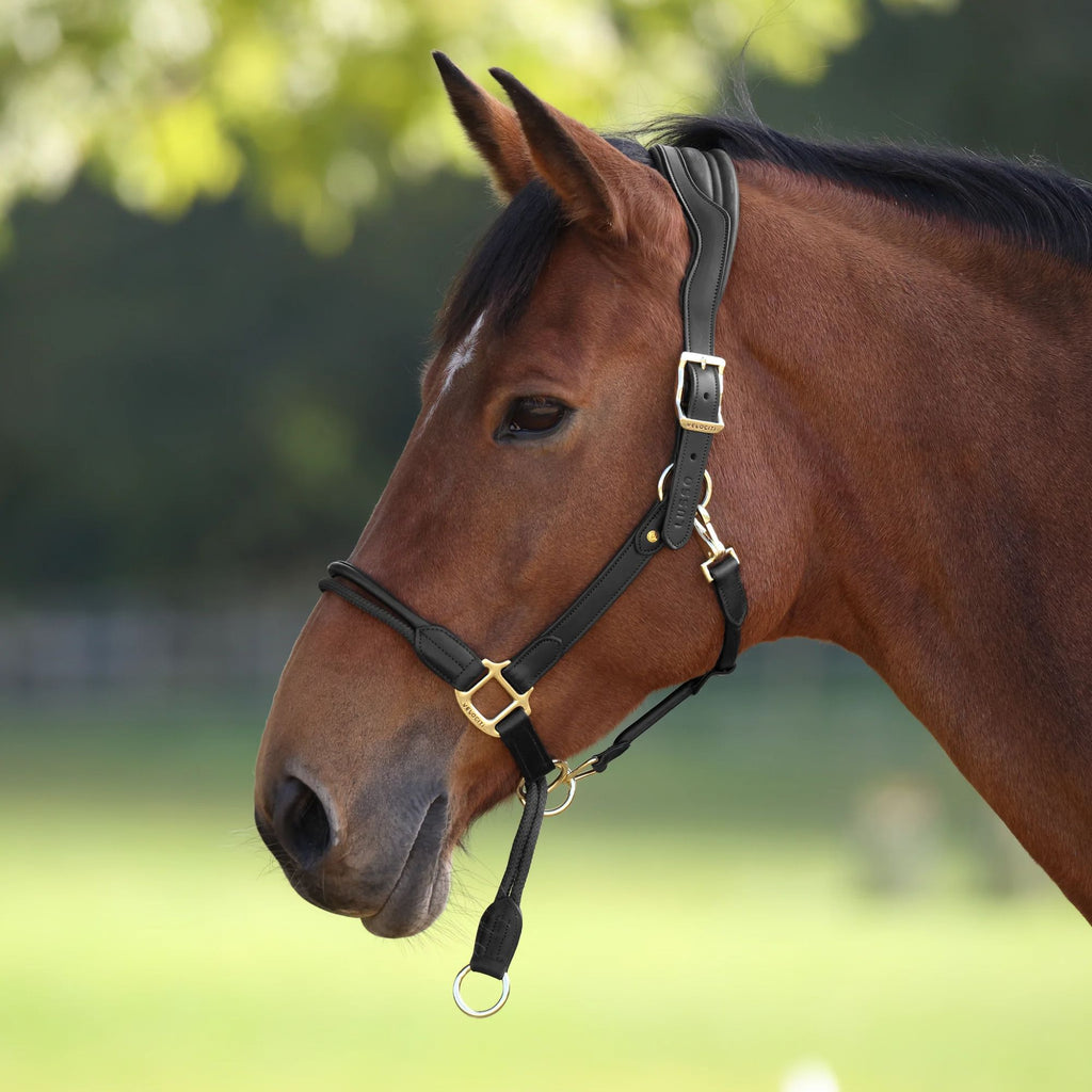 Velociti LUSSO Soria Control Leather Headcollar - Black