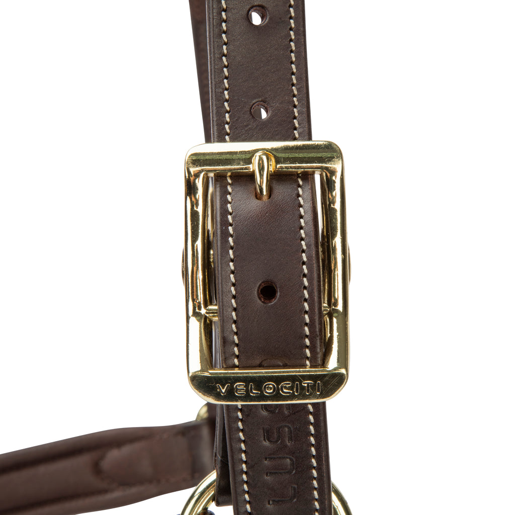Velociti LUSSO Lorca Leather Headcollar - Havana