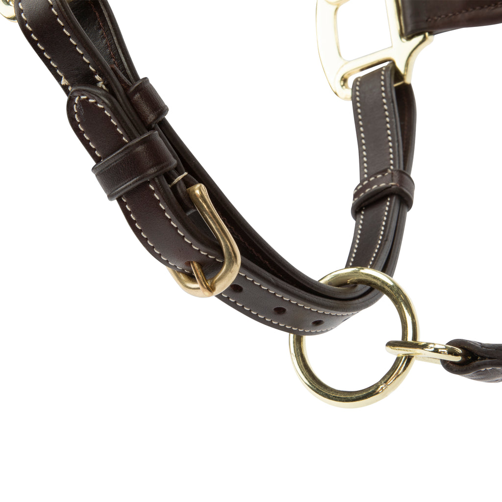 Velociti LUSSO Lorca Leather Headcollar - Havana