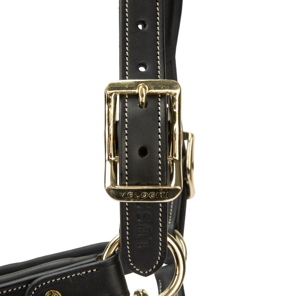 Velociti LUSSO Lorca Leather Headcollar - Black