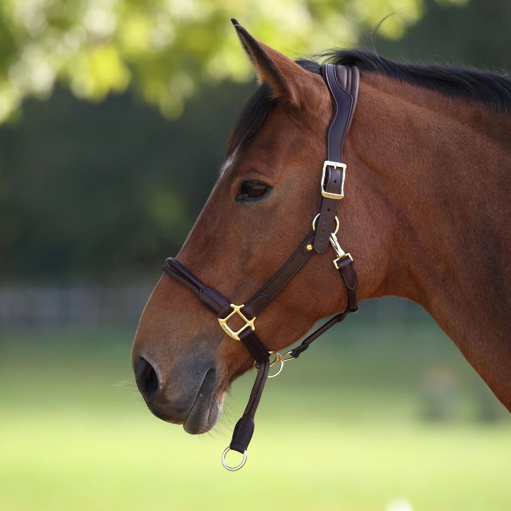 Velociti LUSSO Soria Control Leather Headcollar - Havana