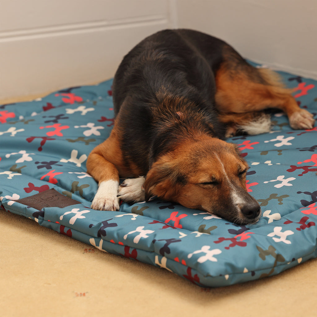 Digby and Fox Waterproof Padded Dog Bed - Balloon