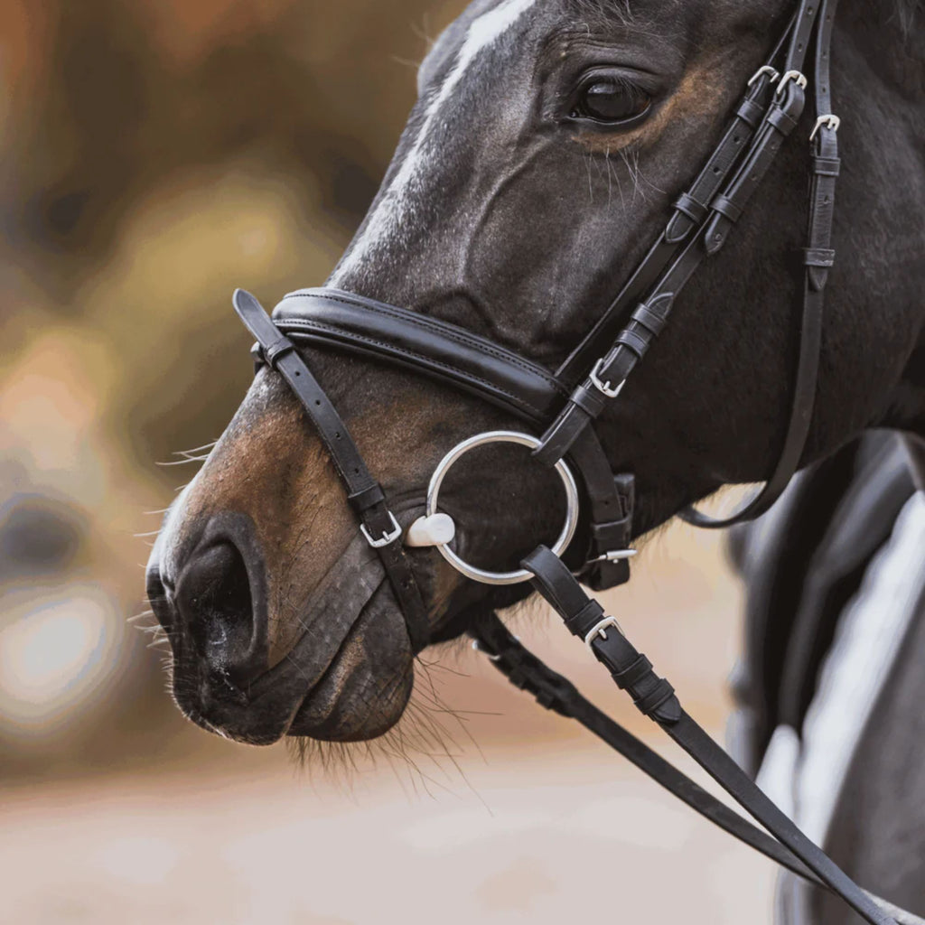 Sprenger Duo Loose Ring 16mm Snaffle