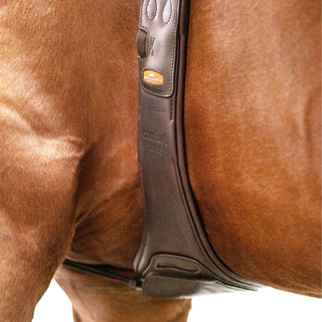 Schockemohle Anatomic Portland Girth - Espresso