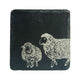 Selbrae House Single Slate Coaster - Sheep