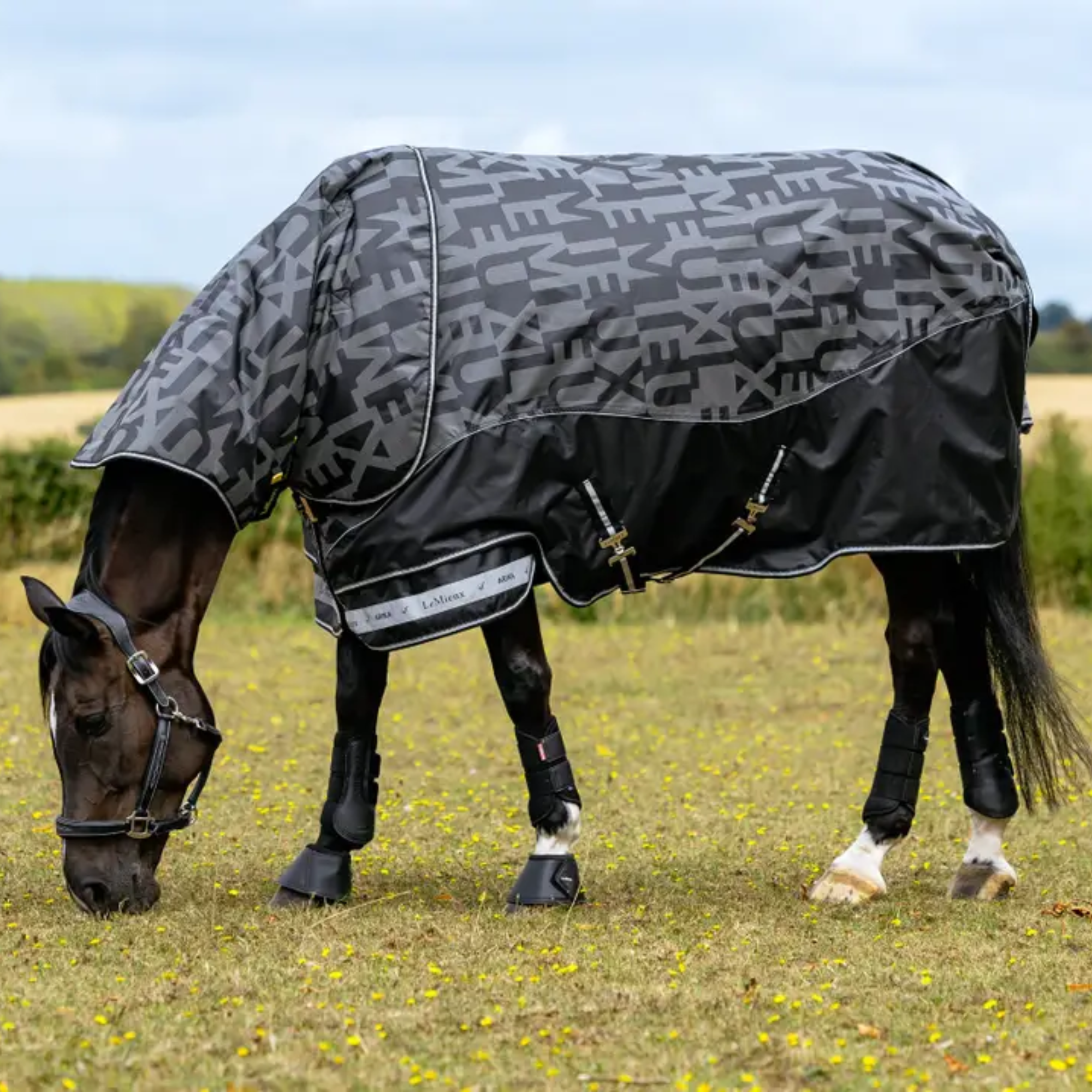 LeMieux Arika Reflective 200g Turnout Rug - Black - R&R Country
