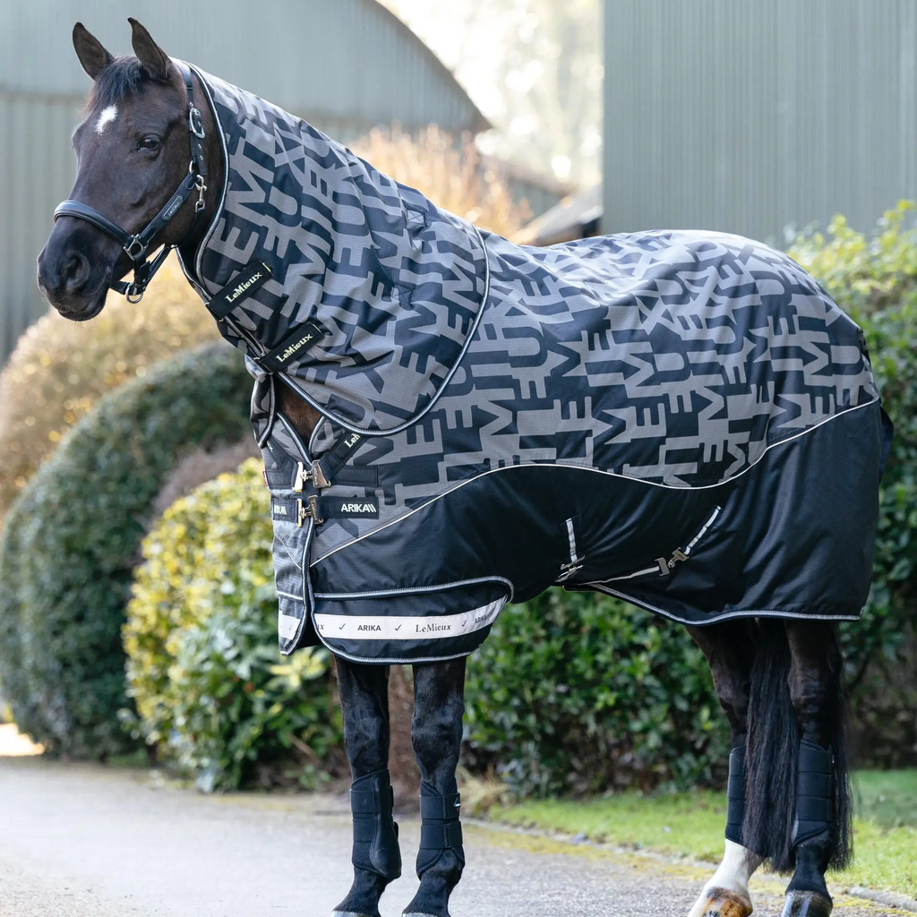 LeMieux Arika Reflective 200g Turnout Rug - Black