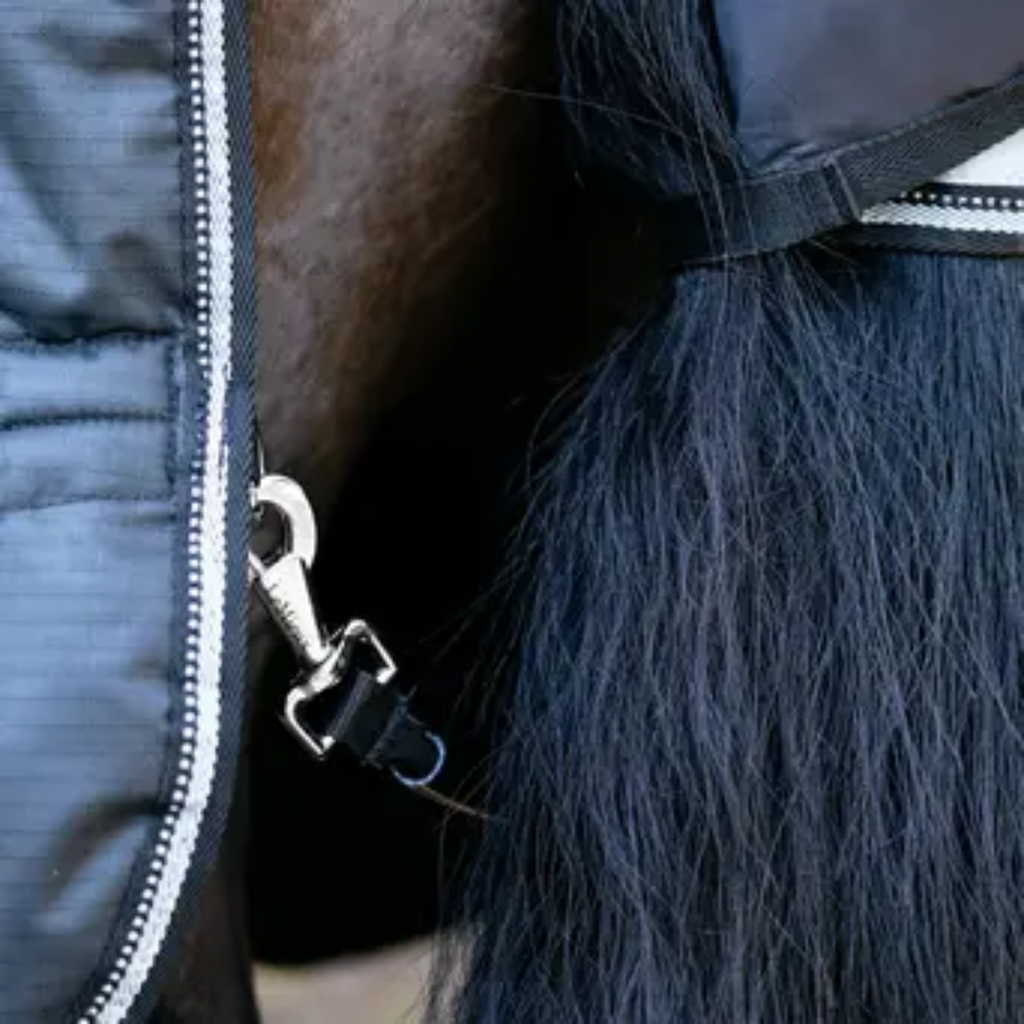 LeMieux Arika Reflective 200g Turnout Rug - Black