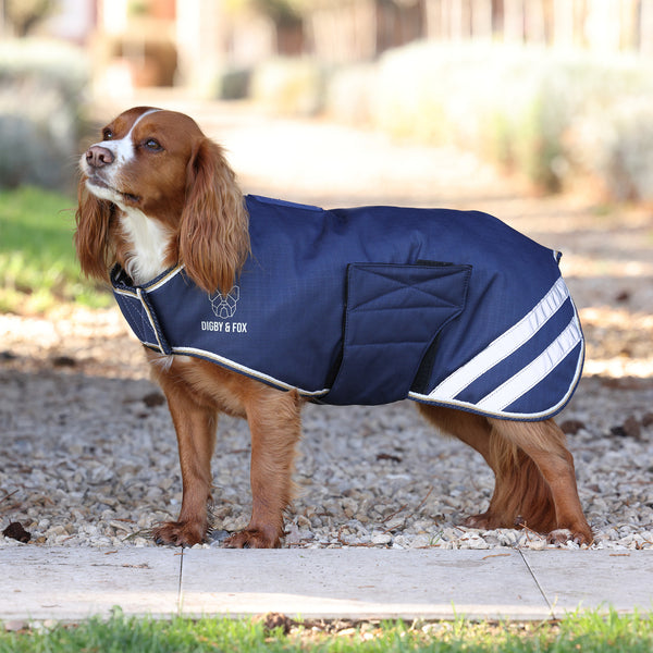 Digby and Fox Lite Waterproof Dog Coat - Navy